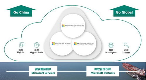 微软智能商业云中国区战略解析 Dynamics 365 发布会独家揭秘与软件开发新机遇
